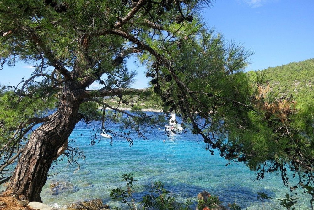 Bodrum, cosa vedere della città turca
