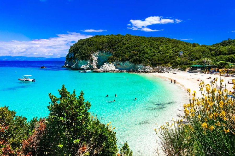 antipaxos