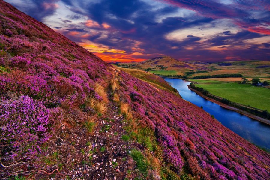 foto-highlands-scozzesi