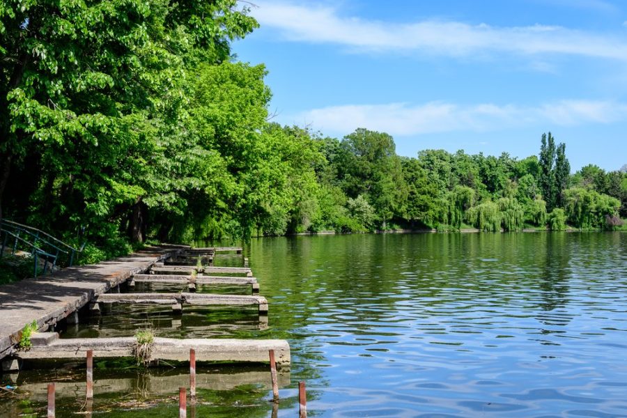 Parco Herăstrău