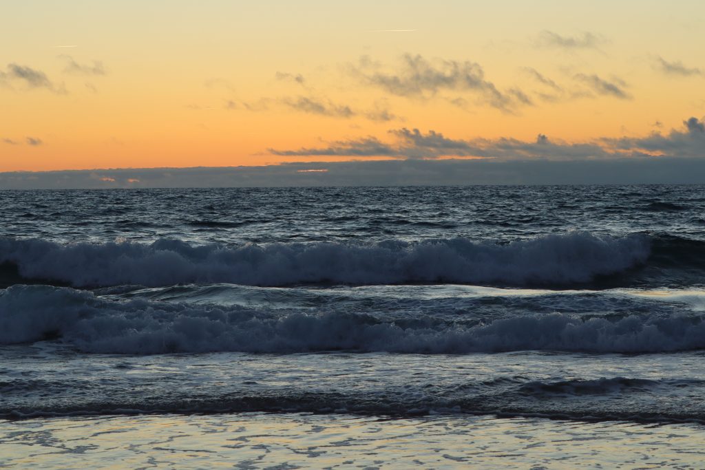 cap ferret