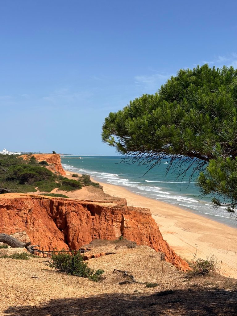 praia da falesia